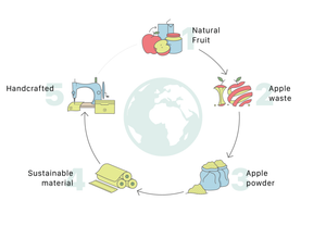 The manufacturing process of SAVI COLLECTION products, from the moment an apple is consumed until a sustainable product is produced from the apple skin